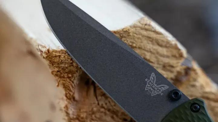 Γυναίκα ακολουθεί την αρκούδα στο δάσος αφού την πλησίασε απροσδόκητα στη στάση του λεωφορείου