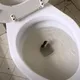 Homem encontra "cobra" em vaso sanitário - Quando o especialista a vê, ele sussurra: "Não é uma cobra...".