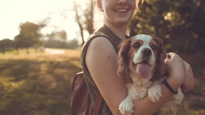 Waarom iedereen met een hond azijn in huis moet hebben