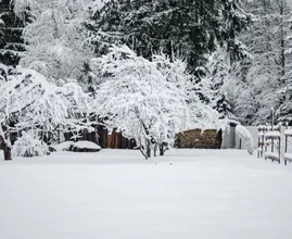 Het blijft spannend: krijgen we een witte kerst of niet?