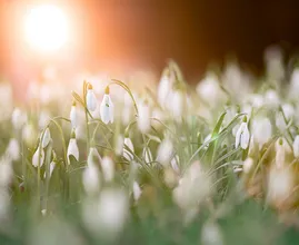 Hallo lente: temperaturen na weekend richting 20 graden