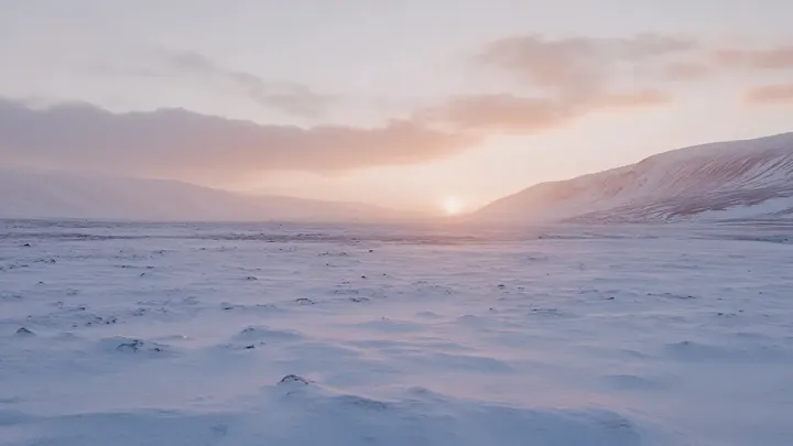 Pensaba que estaba solo en el hielo hasta que apareció una morsa gigante