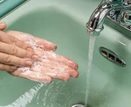 Debes lavarse las manos después de tocar estas 10 cosas inofensivas