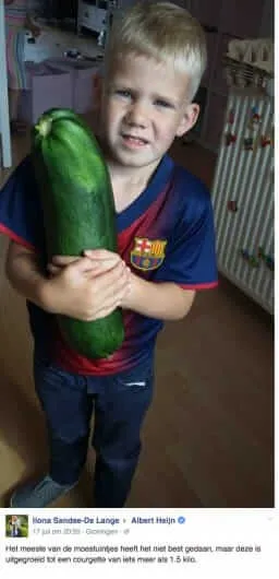 courgette2