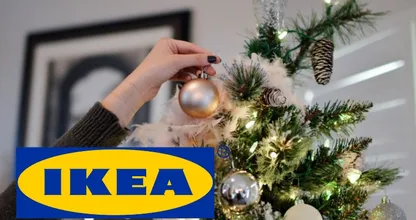 Vanaf deze week zijn de 1 euro kerstbomen weer verkrijgbaar bij Ikea!