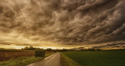 Bomen op het spoor en veel schade: dit richtte storm Eunice vrijdag aan