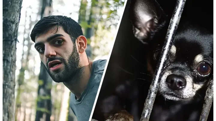 Man Loses His Puppy in a Swamp—What He Found Next Defies Belief!