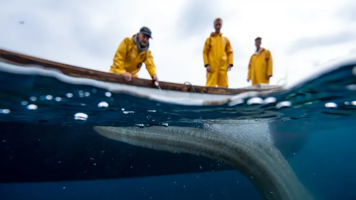 Fishermen Take Photo on Boat – What’s in the Water Behind Them Leaves Everyone Speechless