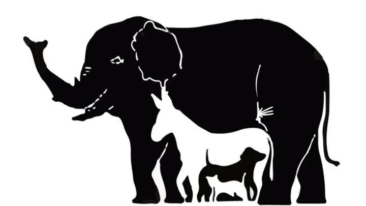 Wie viele Tiere entdeckst du? Kaum jemand kommt auf die richtige Anzahl.