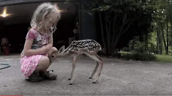 VIDEO: dit babyhertje loopt naar een meisje toe... Wat er gebeurt als ze haar hand uitsteekt is net een sprookje!