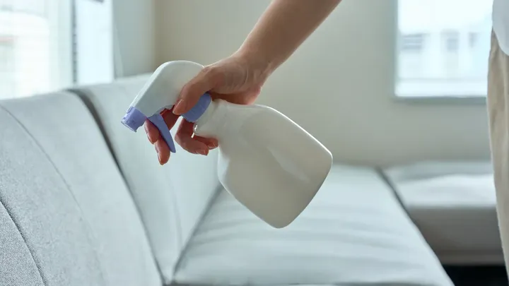 When did you last clean your sofa, and when to use this viral vinegar mix?