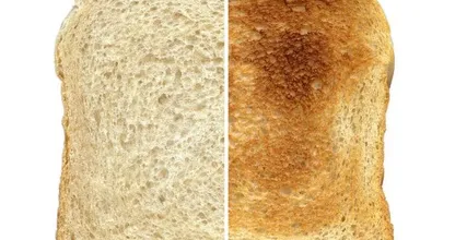 'Toasted bread is better for your intestines': Fact or fable? This is the answer!