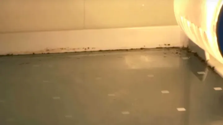 10 plekken waar schimmel zich stiekem verstopt, ook in jouw huis