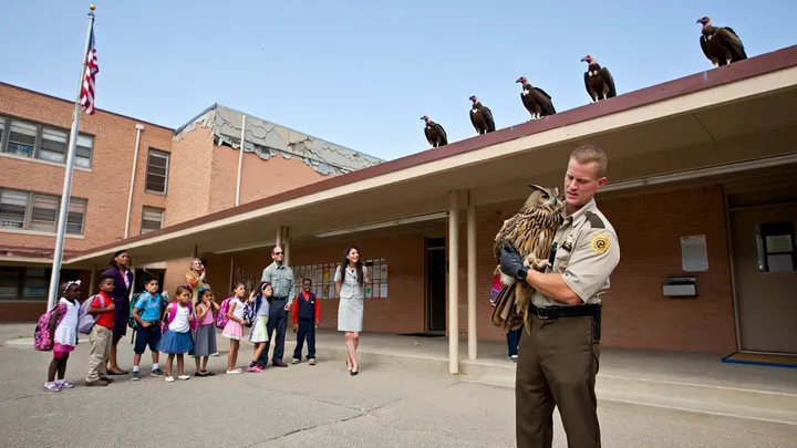 Gang of Vultures Lands on School Roof – What They Surround Has Everyone Watching in Silence