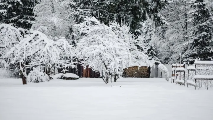 Zit een witte kerst er nog in? Dít weer kunnen we deze week verwachten