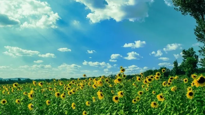Het weer in september: krijgen we nog een mooie nazomer?