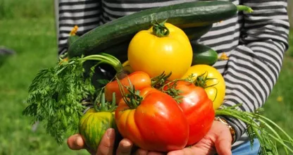 Schlechte Nachrichten: Gemüse und Obst wird sehr viel teurer