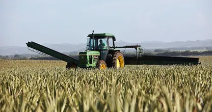 Planbureau: landbouw verdwijnt door strenge klimaatregels