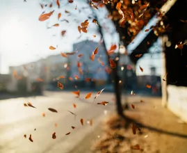 Laat die trui maar in de kast: dit is de weersvoorspelling voor de herfstvakantie