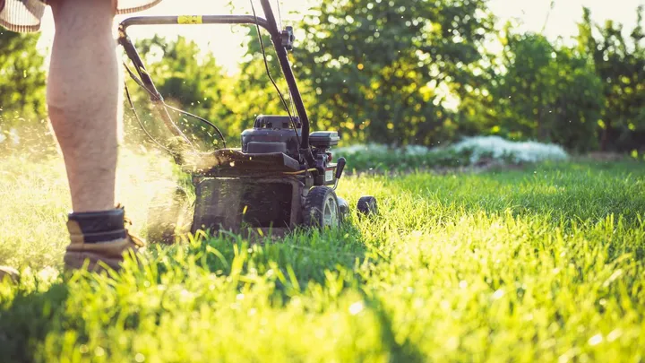 Kan je grasmaaien wanneer het gras nat is?