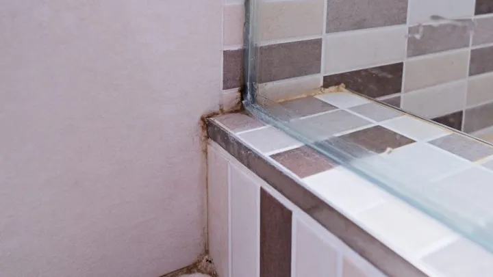 Cómo me deshice del moho de mi baño para siempre con estos seis trucos simples