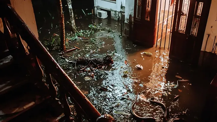 As águas da enchente engoliram sua casa, mas algo aterrorizante flutuou com elas.