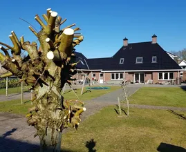 Met deze tips krijg je jouw tuin heel simpel weer superstrak en netjes!