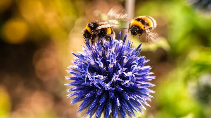 Deze 21 tuinhacks besparen je veel tijd en geld