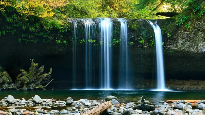 Find out: this is why nature sounds are so relaxing