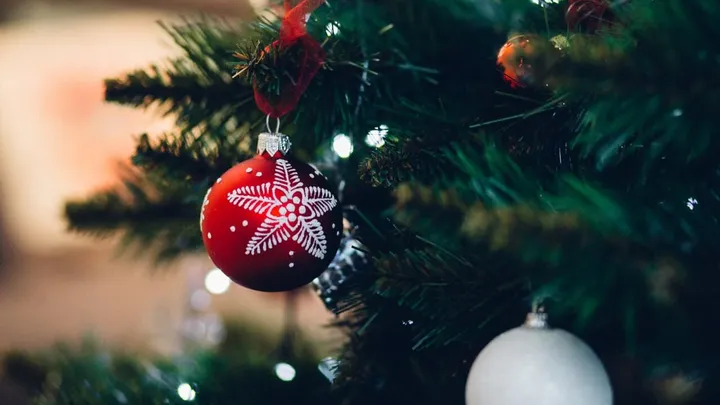 Merry Christmas everyone: eerste kerstbomen al te koop!
