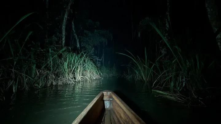Braziliaanse visser dacht dat hij een riviermonster had gevonden - maar de waarheid was veel vreemder