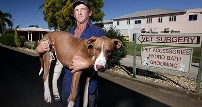 Wauw, deze hond wordt gepakt door een krokodil, wat de man vervolgens doet is echt ongelofelijk!