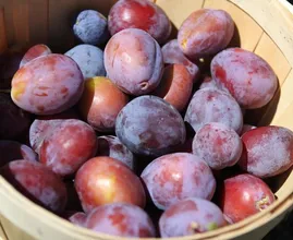 These 3 fruits will help you get rid of that bloated feeling