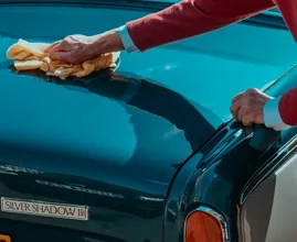 Auto onder de vogelpoep? Dit is waarom je hem direct schoon moet maken