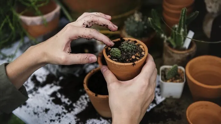 Van schoffelen tot bloemen planten: dit doet tuinieren voor je mentale gezondheid