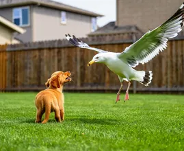 Seagull Snatches Puppy from Garden – What the Neighbors Discover Will Blow Your Mind!