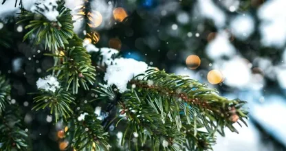 Dreaming of a white Christmas: dit is het weerbericht voor de feestdagen