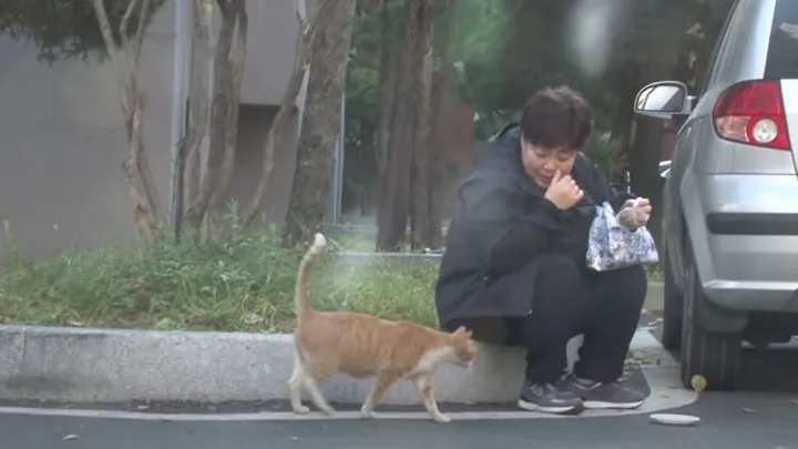 This homeless cat only accepts food from a bag and the reason is touching