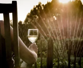 Het lenteweer komt eraan: volgend weekend kans op maar liefst 20 graden!