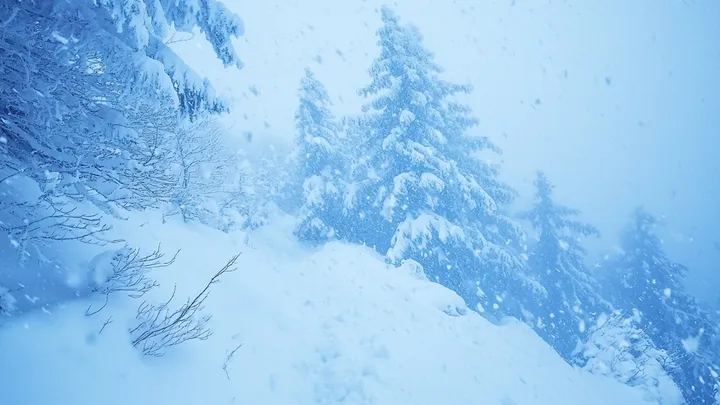 Verzweifelter Mann verirrt sich während eines Schneesturms - dann bemerkt er Augen, die ihn beobachten