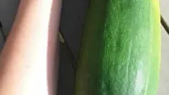 De GIGANTISCHE moestuinen van de Albert Heijn overtreffen elke verwachting dit jaar. Wow!