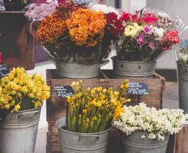 Pas op: deze voorjaarsbloemen kunnen levensgevaarlijk zijn voor je huisdier