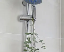 Das ist der Grund warum sich jetzt jeder Eukalyptus in die Dusche hängt
