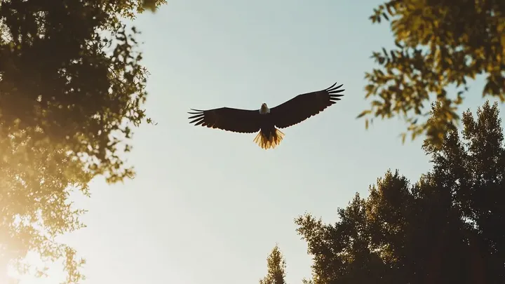 Adler schnappt Welpe aus dem Garten - Nachbarn entdecken einen beunruhigenden Anblick