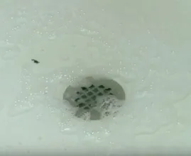 Das Wasser in der Dusche fließt nicht ab? Keine Sorge, dieses Mittel befreit den verstopften Abfluss sofort!