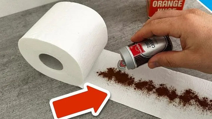 What Happens When You Add Cinnamon to Toilet Paper? Why Some People Are Doing It