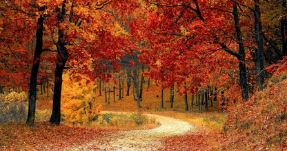 Deze sterrenbeelden zijn dol op de herfst