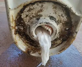 You WON'T BELIEVE What These Plumbers Found in Toilets! Number 17 is Hilarious!