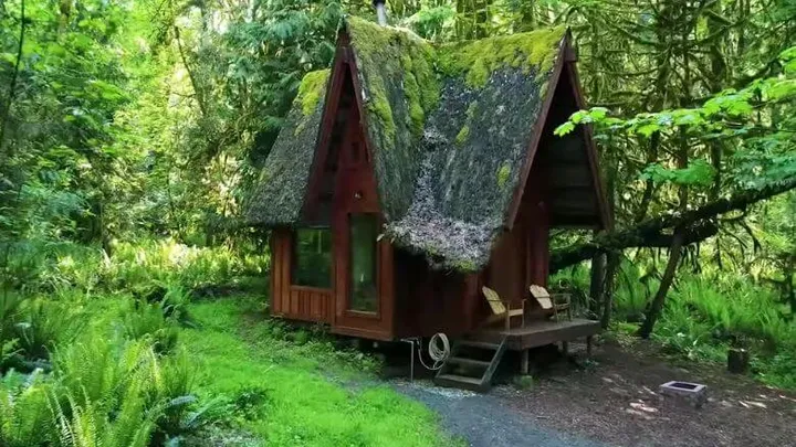 Dai un'occhiata: questa incantevole casa in mezzo alla foresta è più grande di quanto sembri