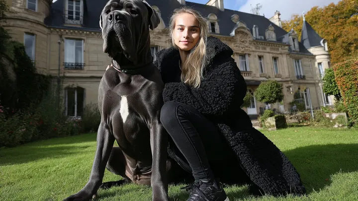 Um bilionário aposta um milhão de dólares para que ninguém consiga acalmar seu cachorro - uma jovem sem-teto (19) prova que ele está errado